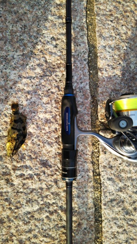 つかの間の日中ショートゲーム