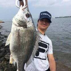 チニングでキビレGET！