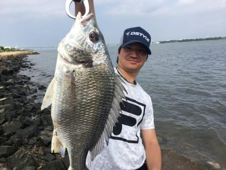 チニングでキビレGET！