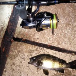 出勤前のメバリング♪