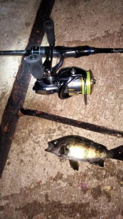 出勤前のメバリング♪