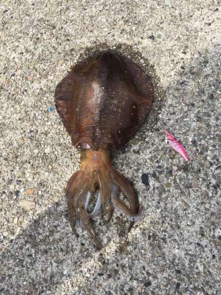 初キロアップ！