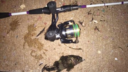 本気のメバリング〜明石〜