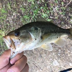 ゲーリーヤマモト最強⁉︎