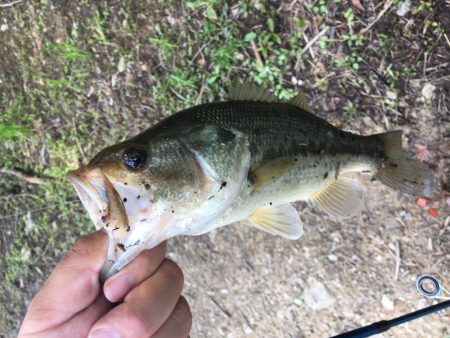 ゲーリーヤマモト最強⁉︎