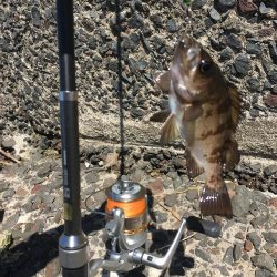 ジグで投げ釣り