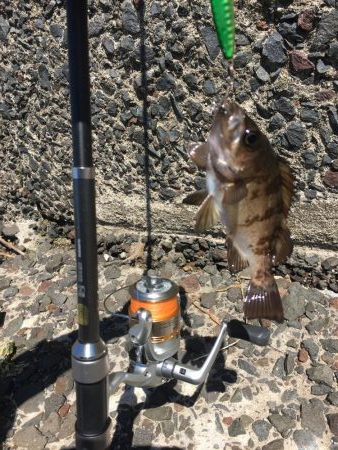 ジグで投げ釣り