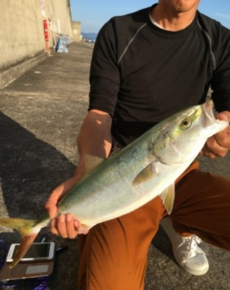 メジロサイズまでいかない