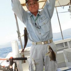 土佐安芸のハマちゃん