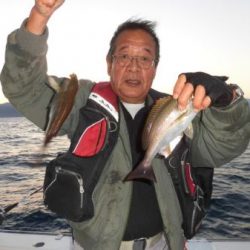 土佐安芸のハマちゃんの釣果