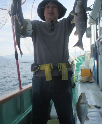 土佐安芸のハマちゃんの釣果