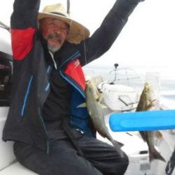 土佐安芸のハマちゃん