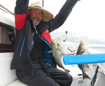 土佐安芸のハマちゃん