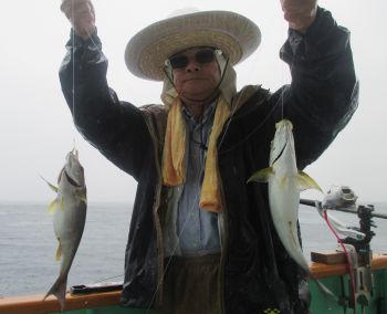 土佐安芸のハマちゃんの釣果