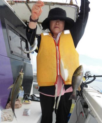 土佐安芸のハマちゃんの釣果