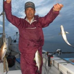 土佐安芸のハマちゃんの釣果