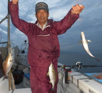 土佐安芸のハマちゃんの釣果