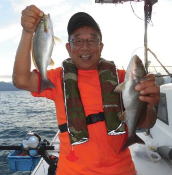 土佐安芸のハマちゃんの釣果