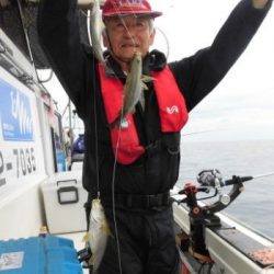 土佐安芸のハマちゃんの釣果