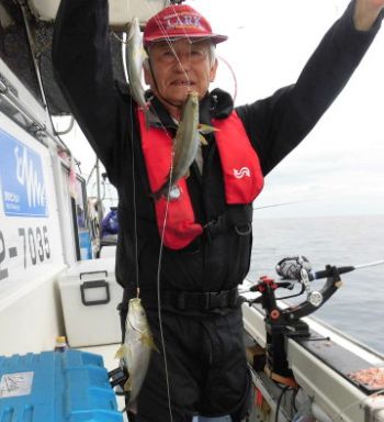 土佐安芸のハマちゃんの釣果