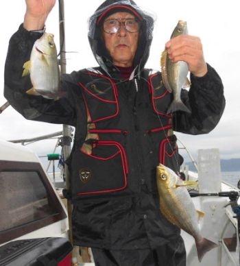 土佐安芸のハマちゃんの釣果