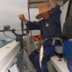 土佐安芸のハマちゃんの釣果