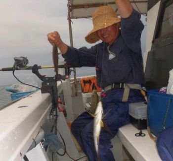 土佐安芸のハマちゃんの釣果