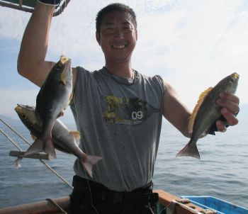 土佐安芸のハマちゃんの釣果