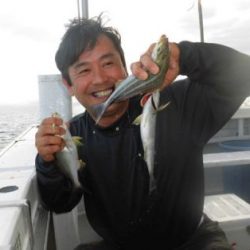 土佐安芸のハマちゃんの釣果