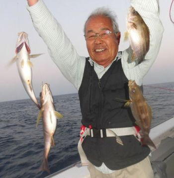 土佐安芸のハマちゃんの釣果