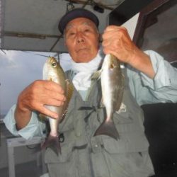 土佐安芸のハマちゃんの釣果