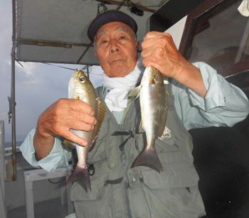 土佐安芸のハマちゃんの釣果