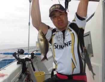 土佐安芸のハマちゃんの釣果