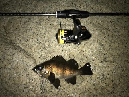 フォール➕デッドスロー