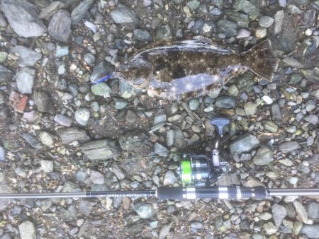 勝浦浜橋下でソゲ