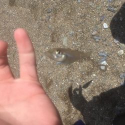 大神子海岸でキス