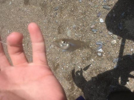 大神子海岸でキス