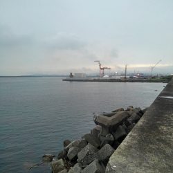 輪ゴムワームに填まってます‼️