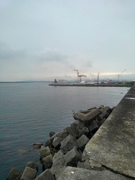 輪ゴムワームに填まってます‼️