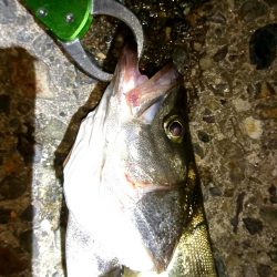 いい流れ、いいポイントで