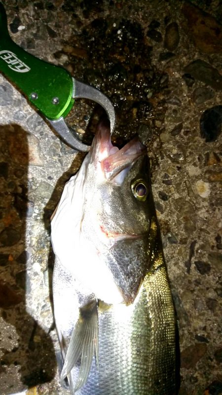 いい流れ、いいポイントで