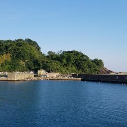 久しぶりの爆釣