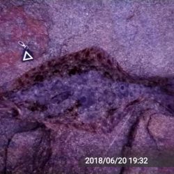 仕事終わりに、ふらっと・・・！