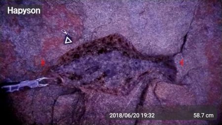 仕事終わりに、ふらっと・・・！