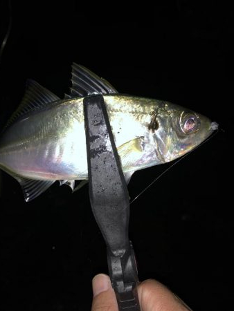 雨の中でのジグ単