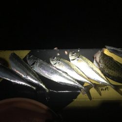 友人と五目釣り!