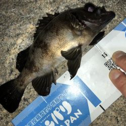 メバモーニング