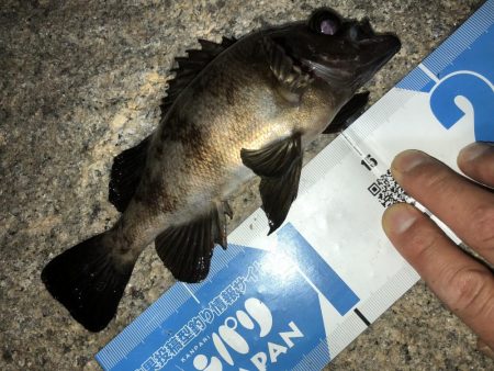 メバモーニング