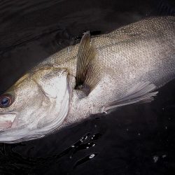 大潮の甲子園浜　６本