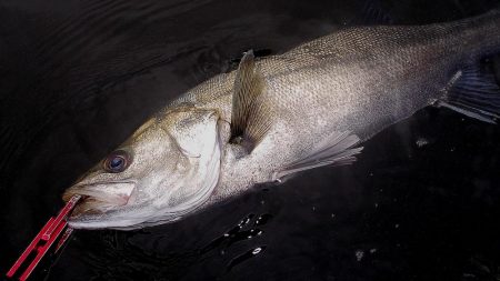 大潮の甲子園浜　６本